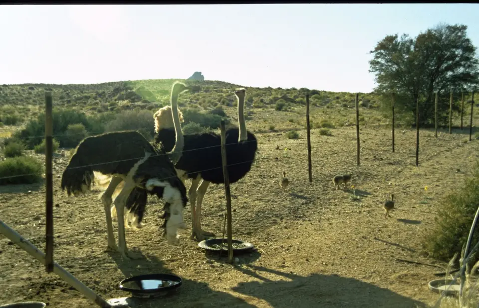 Namibia234.jpg