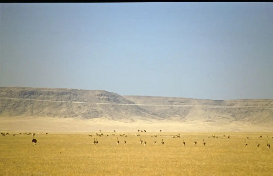 Namibia236.jpg