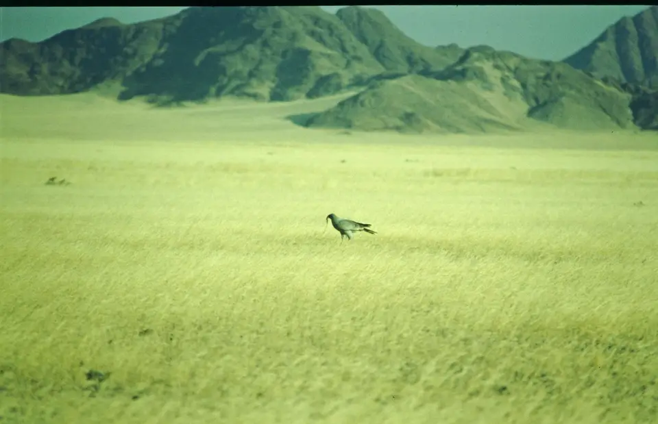 Namibia243.jpg