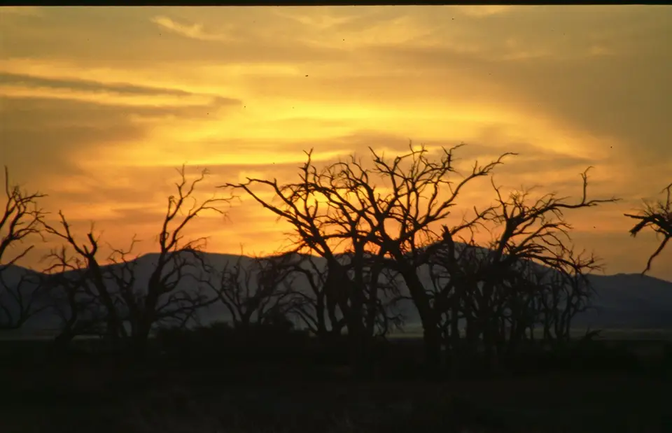 Namibia267.jpg