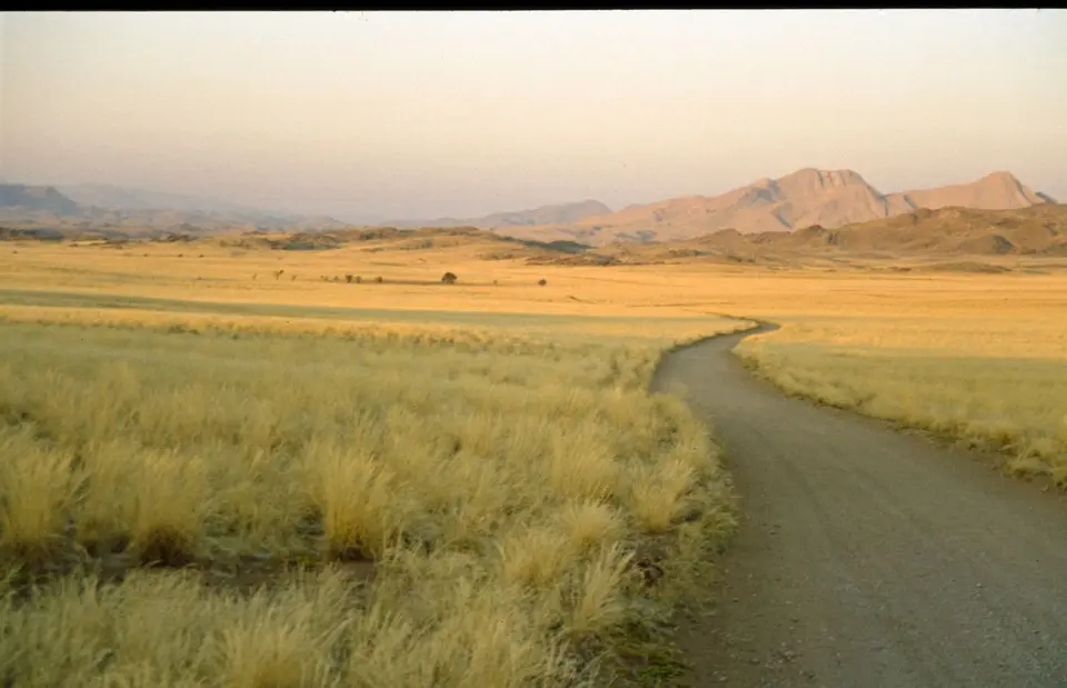 Namibia319.jpg