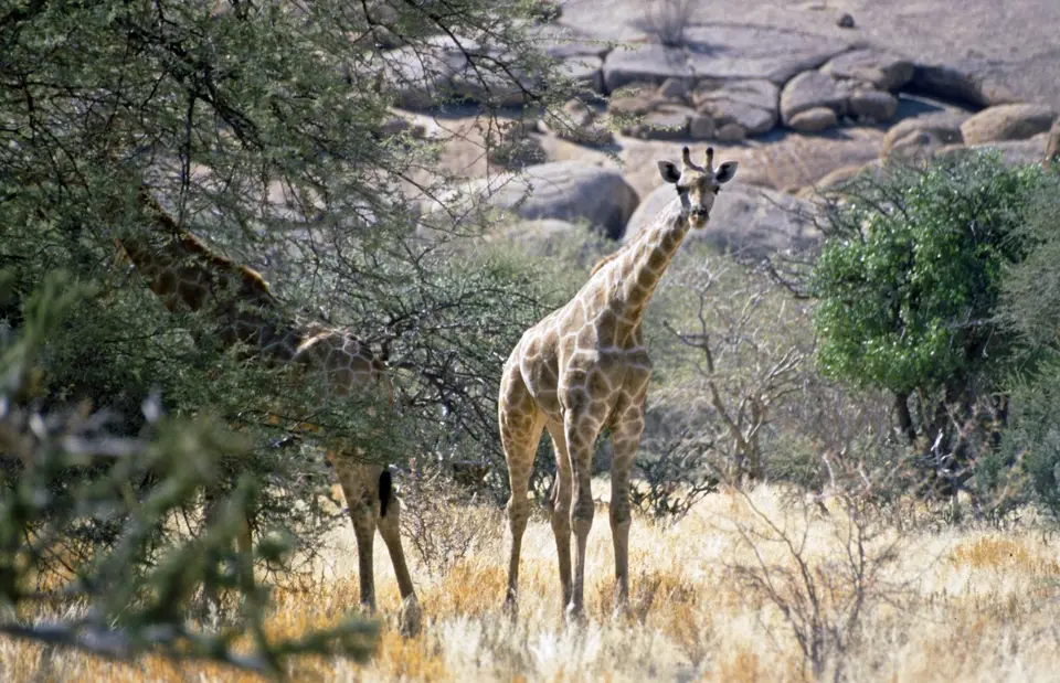 Namibia5055.jpg