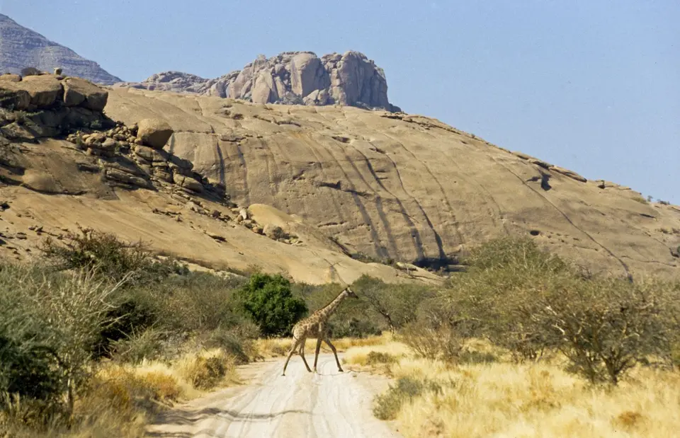 Namibia5057-3.jpg