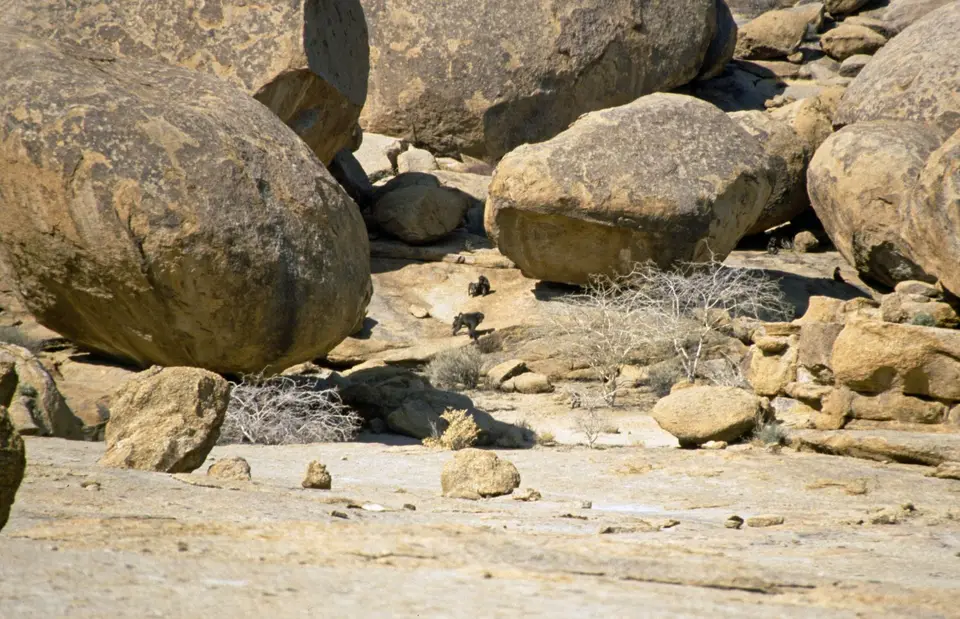 Namibia5061.jpg