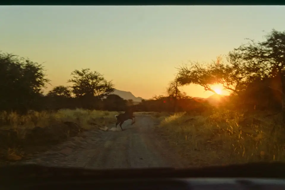 Namibia5088.jpg