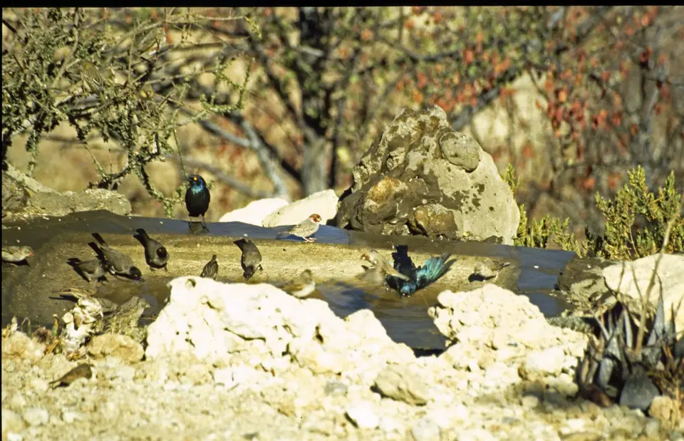 Namibia6019.jpg