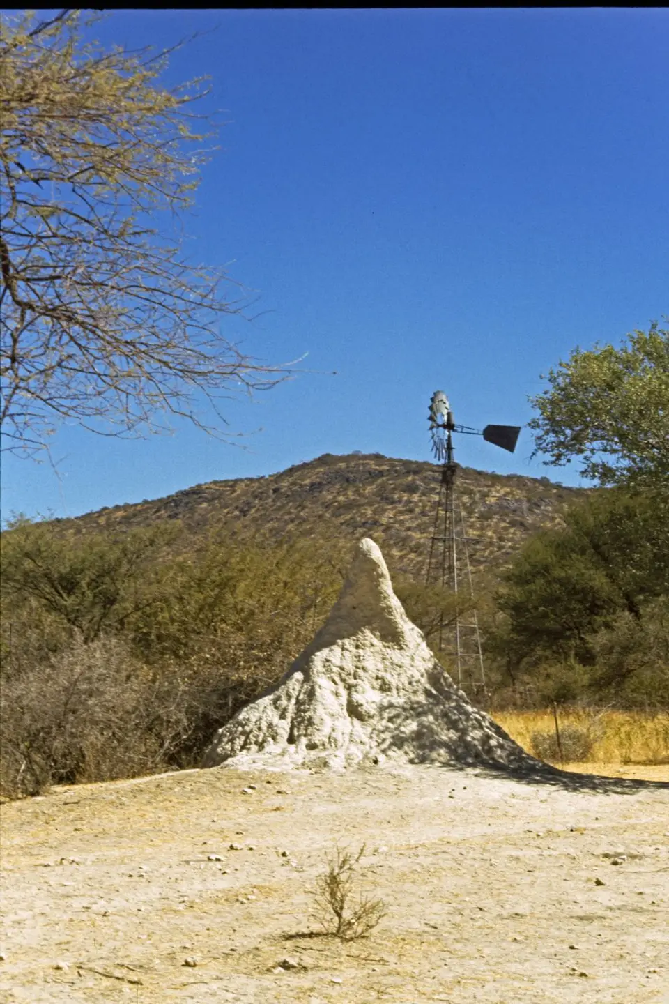Namibia6022.jpg