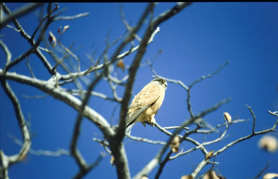 Namibia6025.jpg