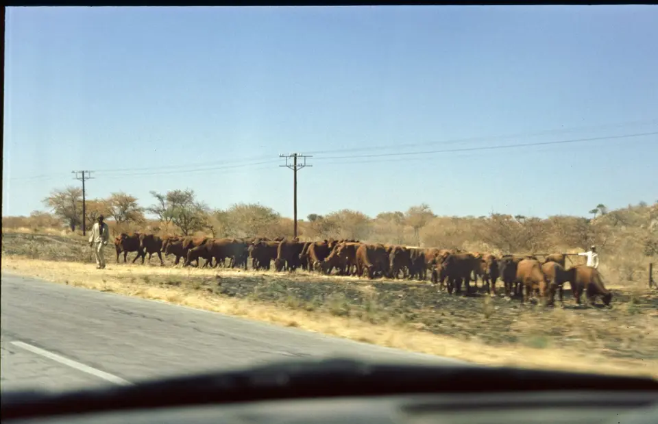 Namibia6033.jpg