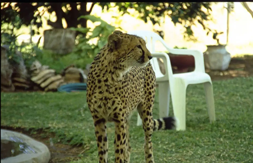 Namibia6049.jpg