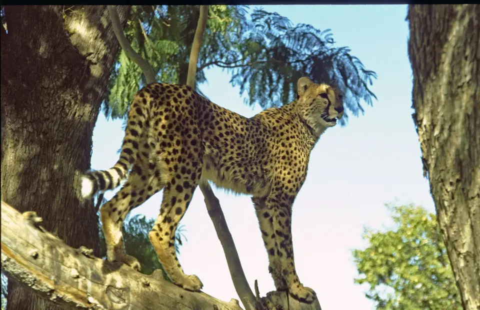 Namibia6052.jpg