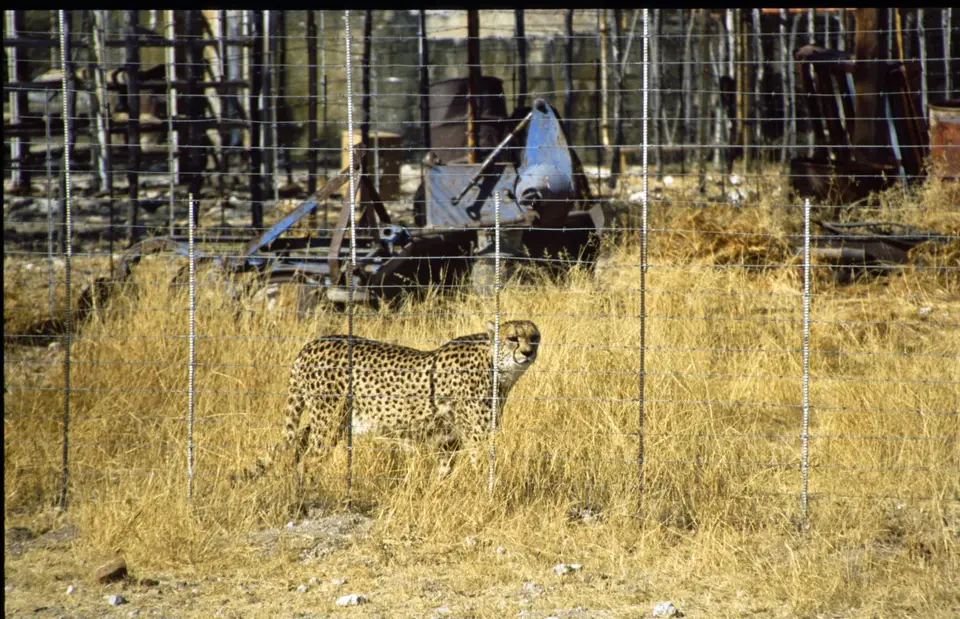 Namibia6055.jpg