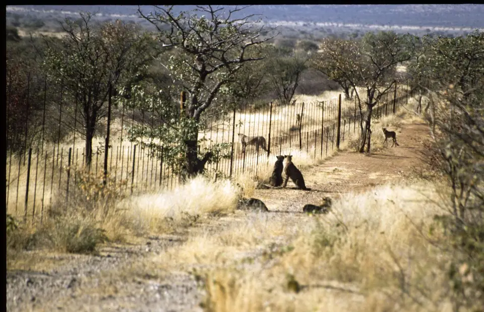 Namibia6057.jpg