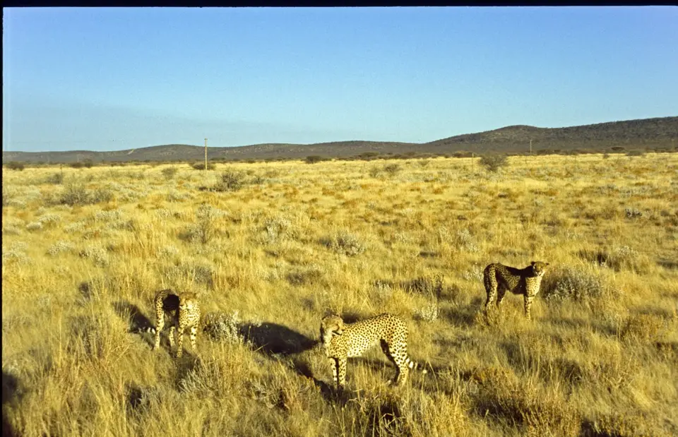Namibia6069.jpg