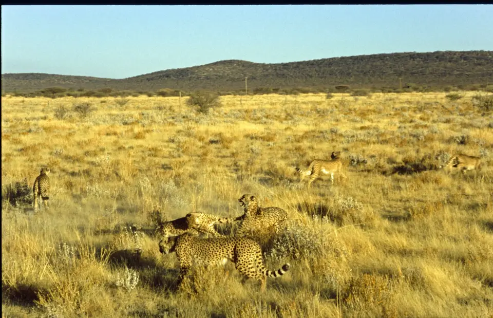 Namibia6073-2.jpg