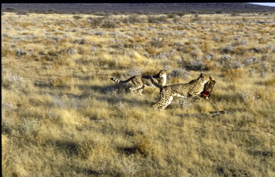 Namibia6076.jpg