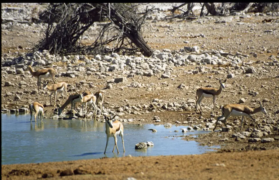 Namibia6089.jpg