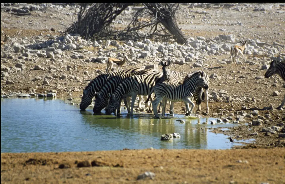 Namibia6091.jpg