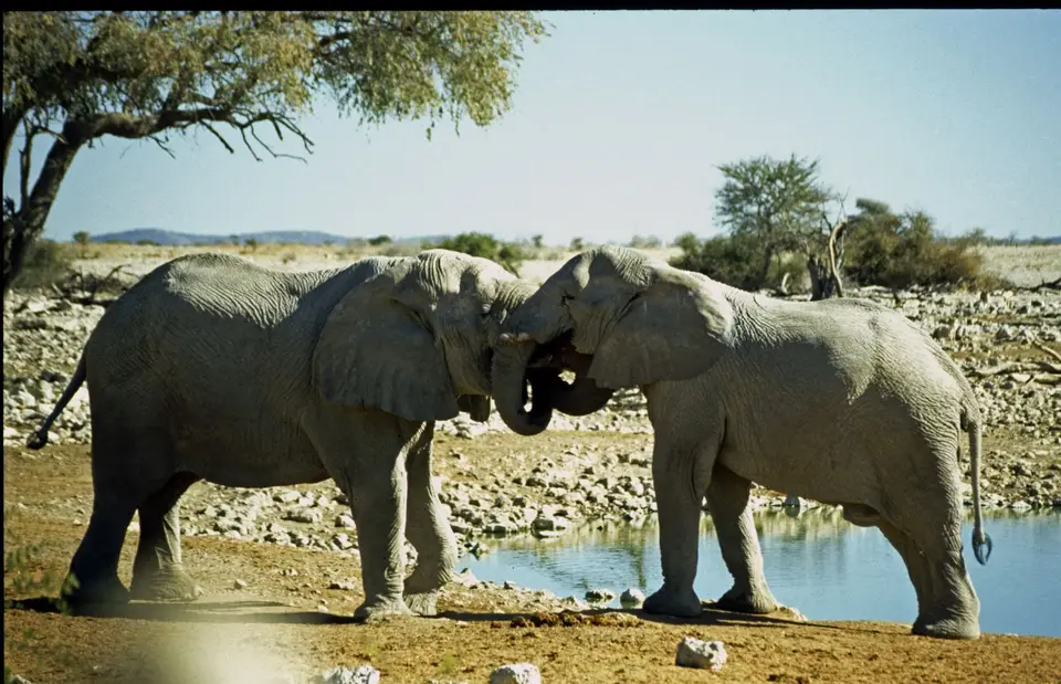 Namibia6098.jpg