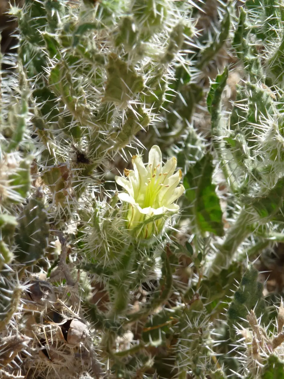 P1080343.JPG