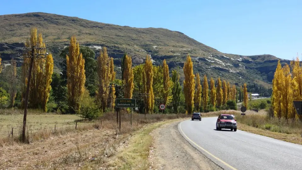SA2013004_2013-06-17.jpg