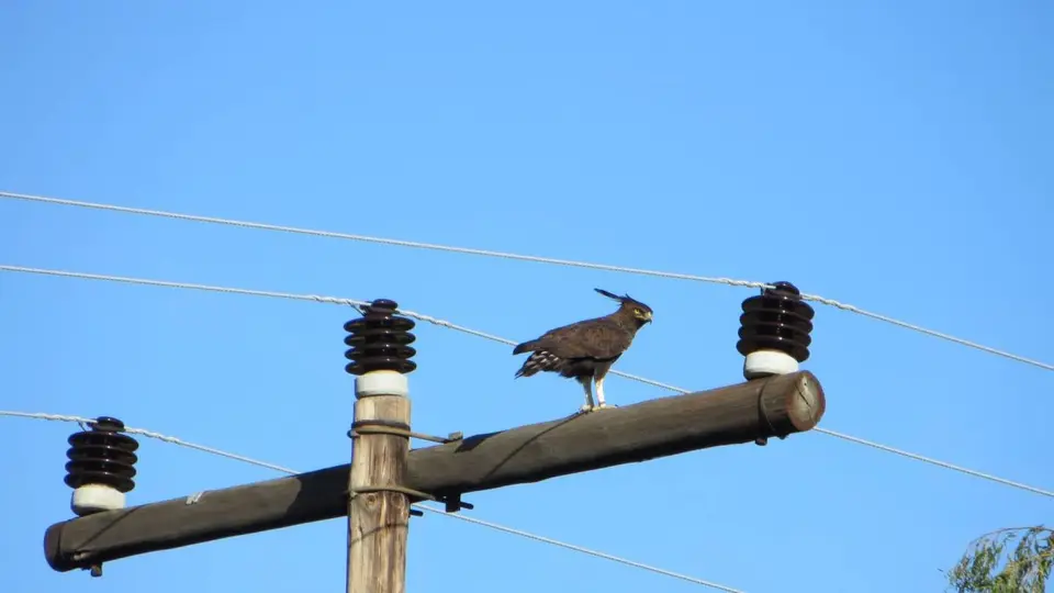 SA2013007.jpg