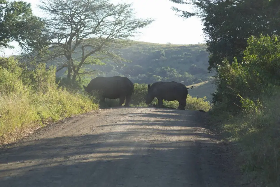 SA2013009_2013-06-23.jpg
