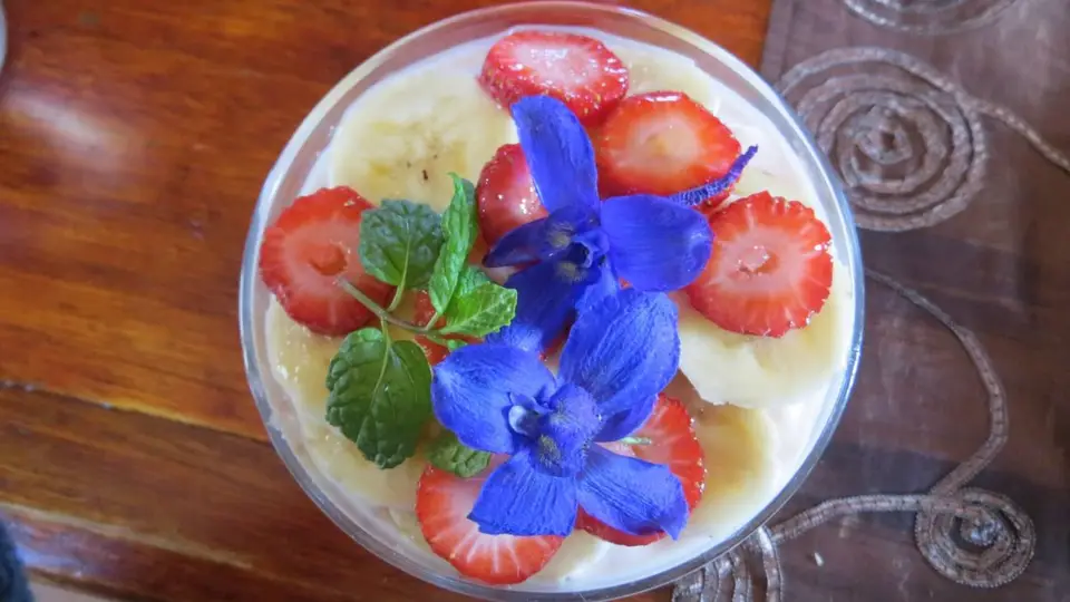 SA2013022.jpg