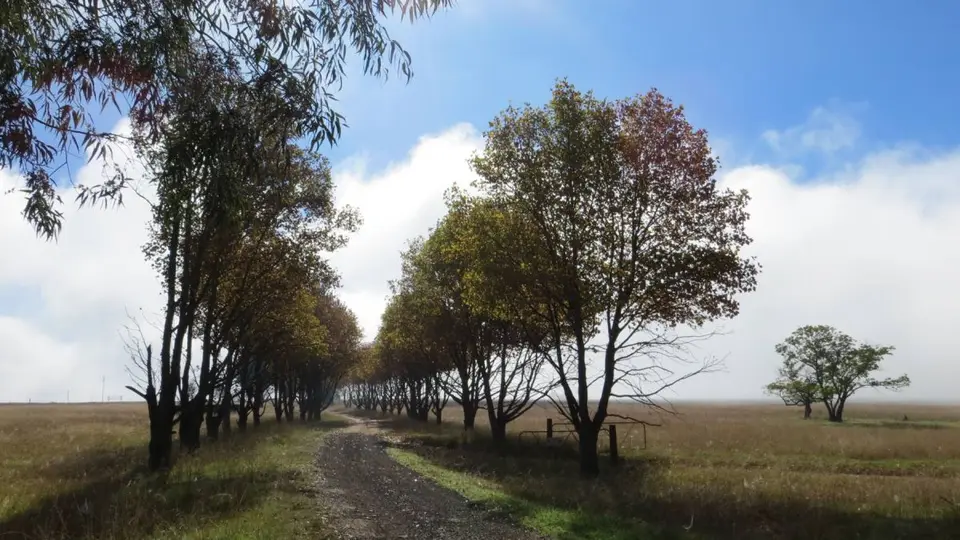 SA2013033.jpg