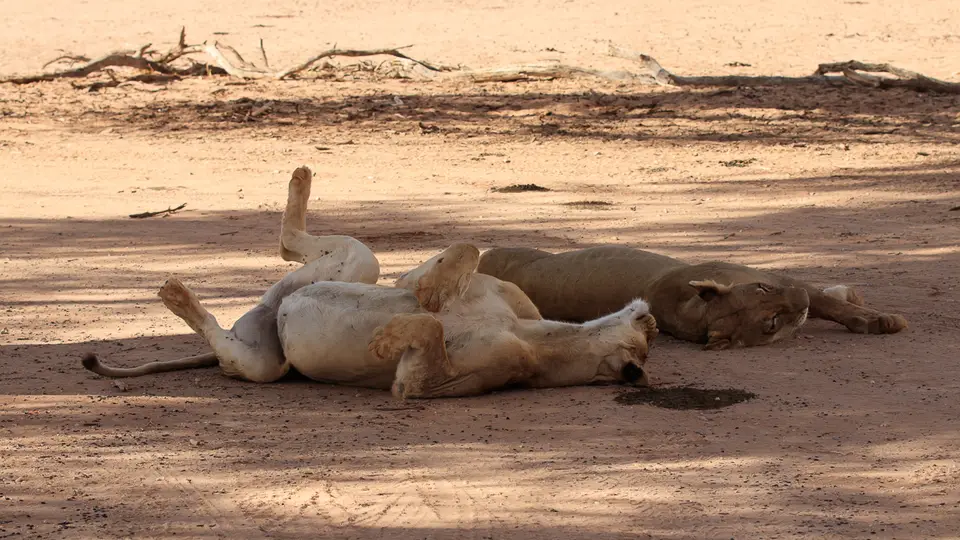 SA2018Tag1(82von111).jpg