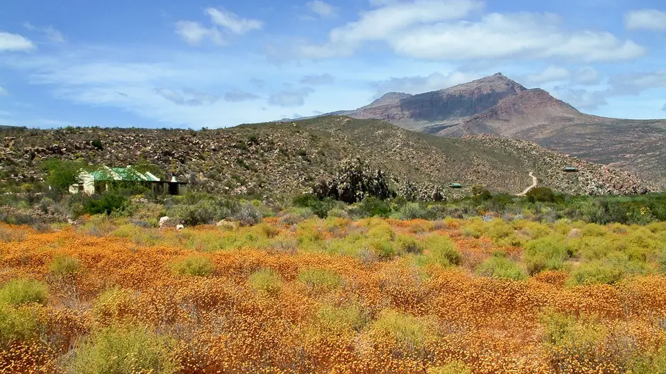 Suedafrika0152.jpg