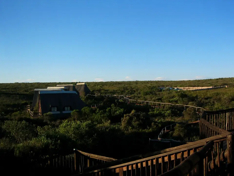Südafrika066.jpg