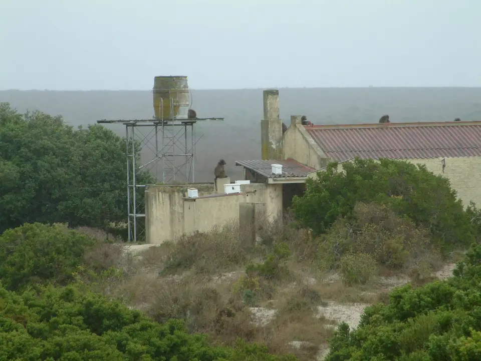 Südafrika072.jpg