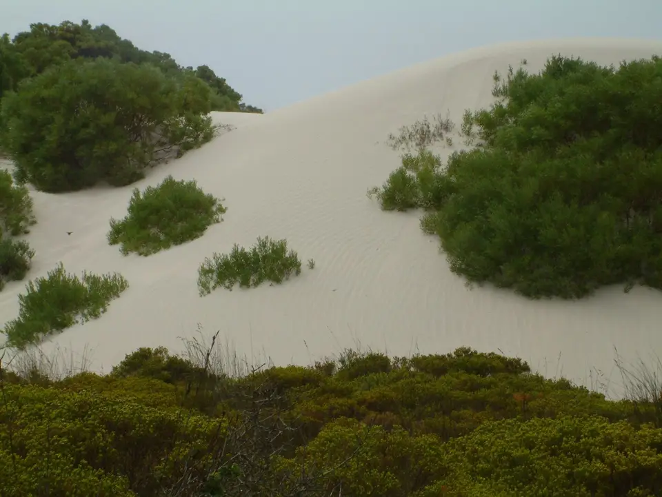 Südafrika075.jpg