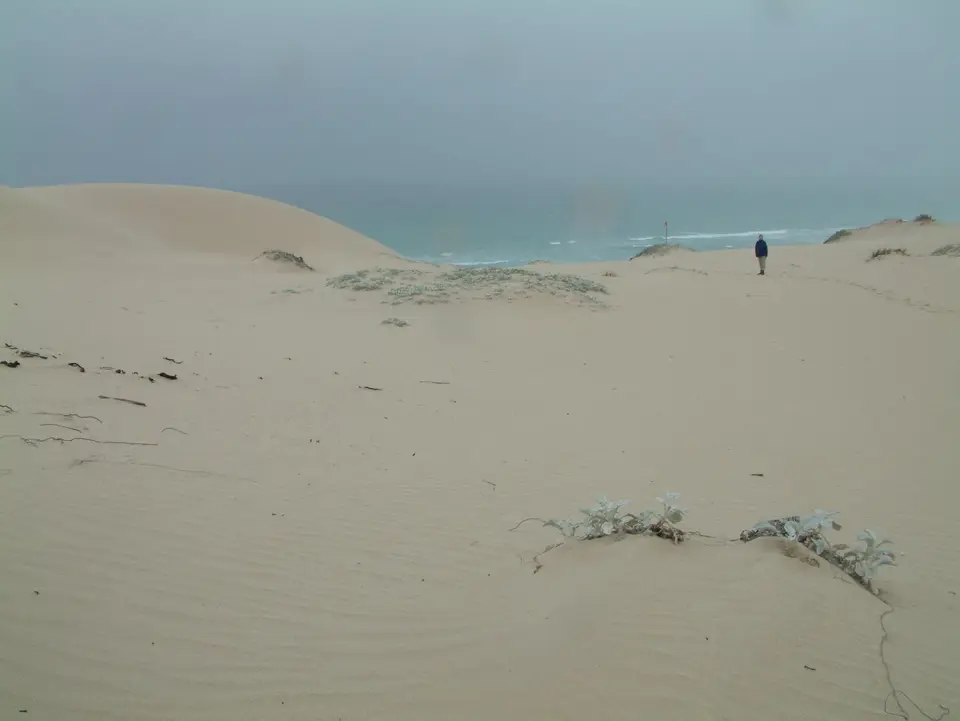 Südafrika078.jpg