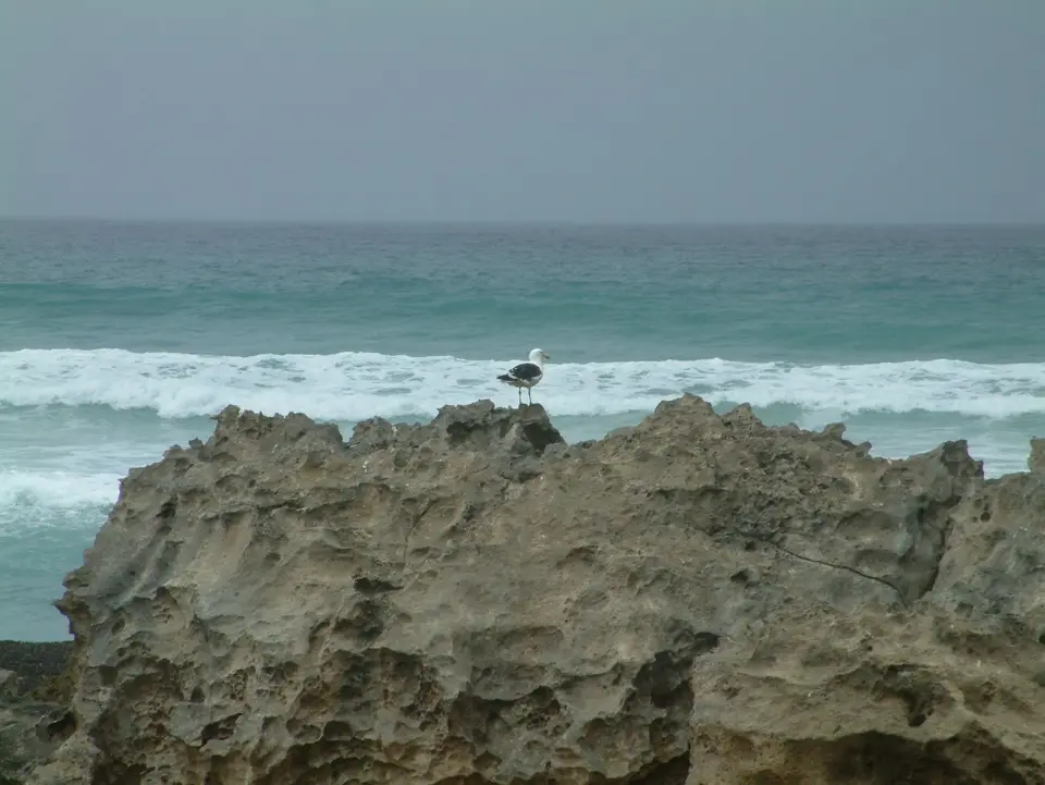 Südafrika092.jpg