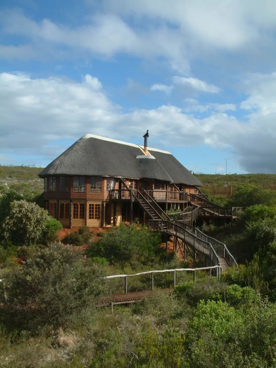 Südafrika137.jpg