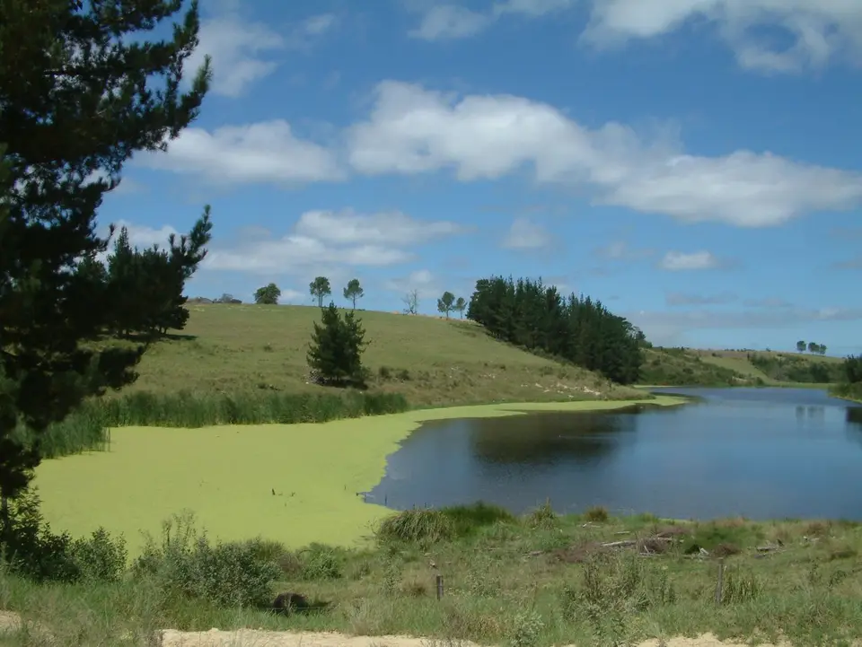 Südafrika270.jpg
