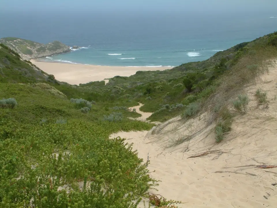 Südafrika362.jpg