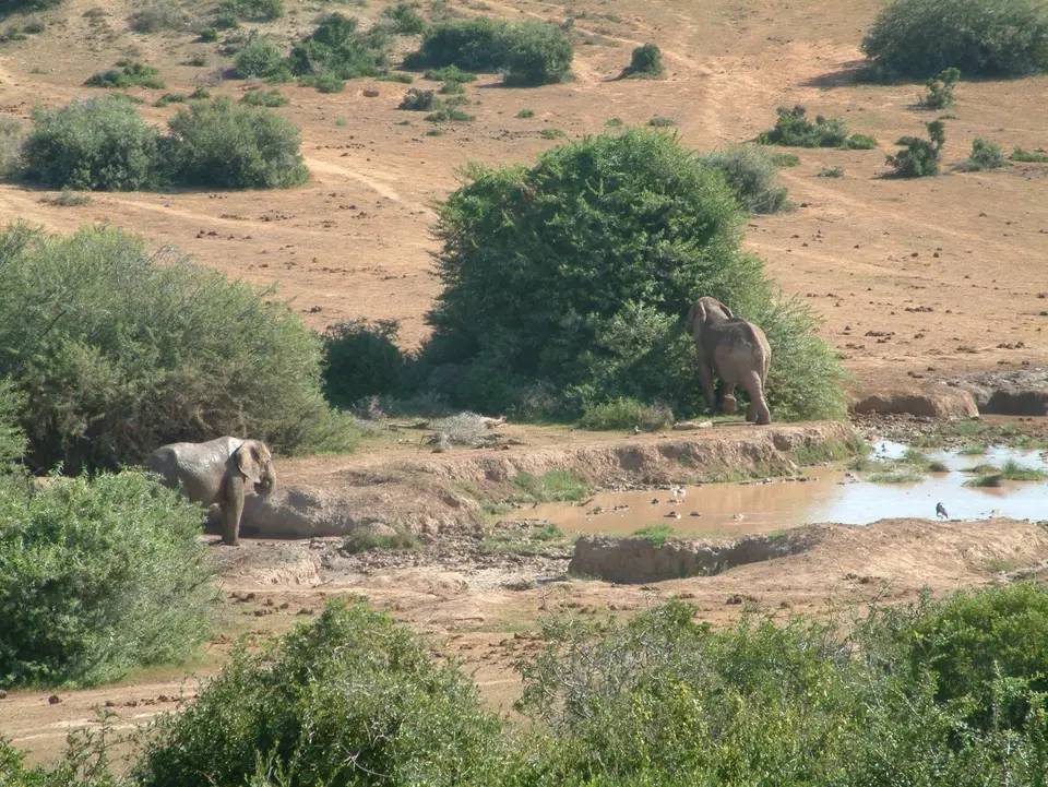 Südafrika403.jpg