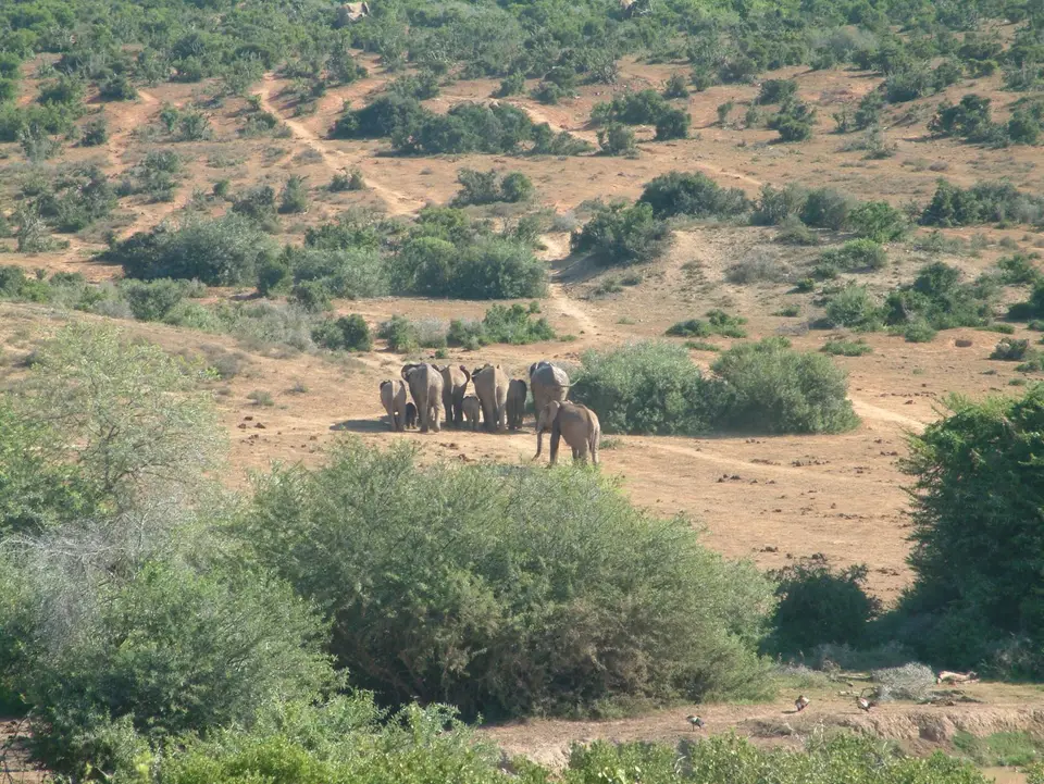 Südafrika406.jpg