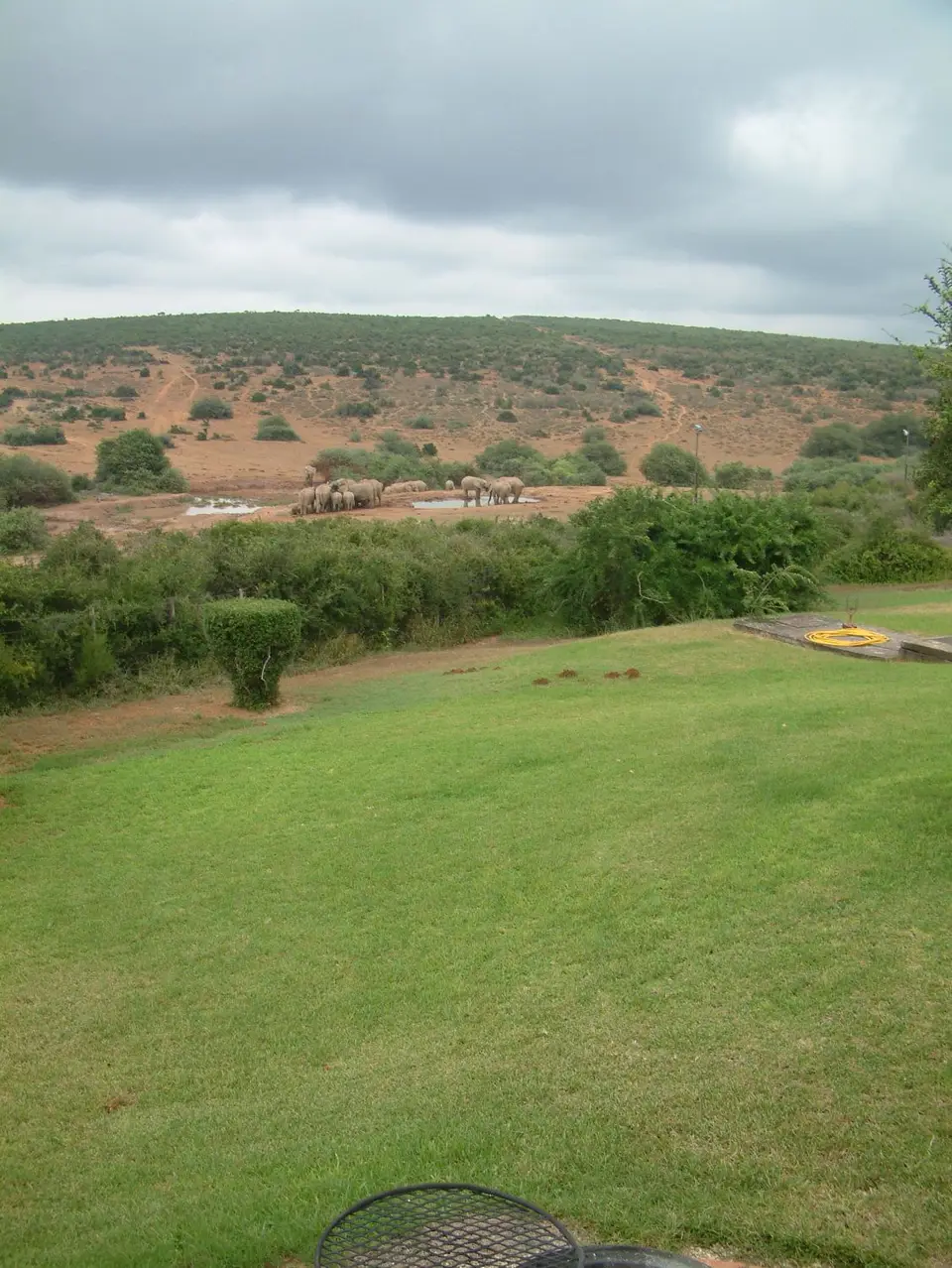 Südafrika417.jpg