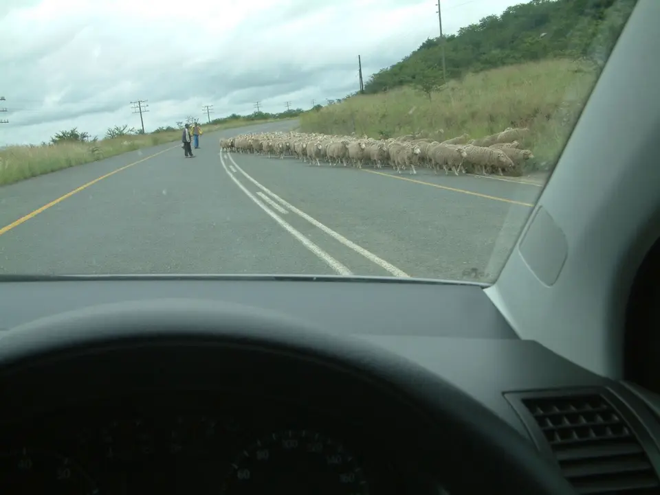 Südafrika489.jpg