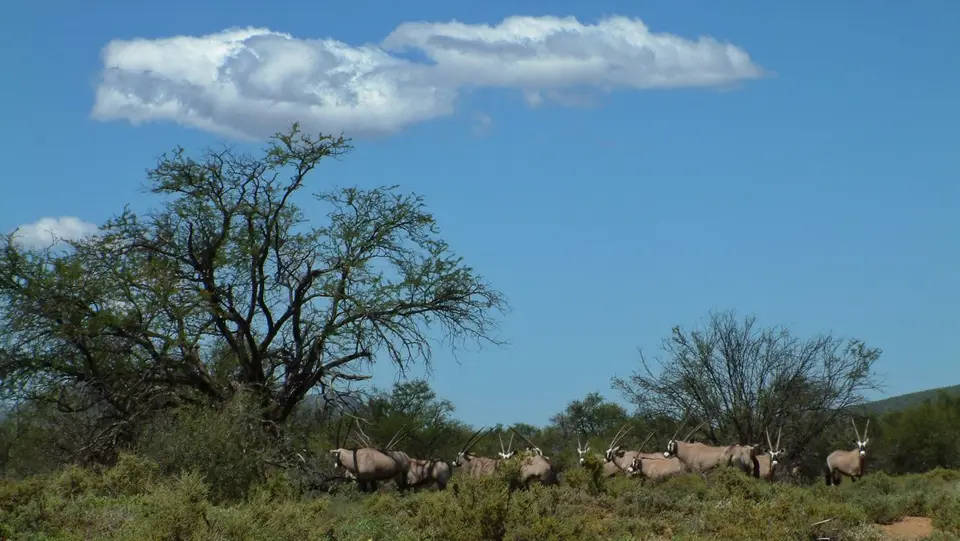 Südafrika521.jpg