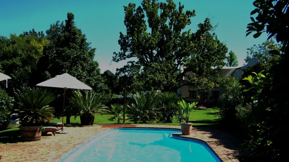 Südafrika673.jpg