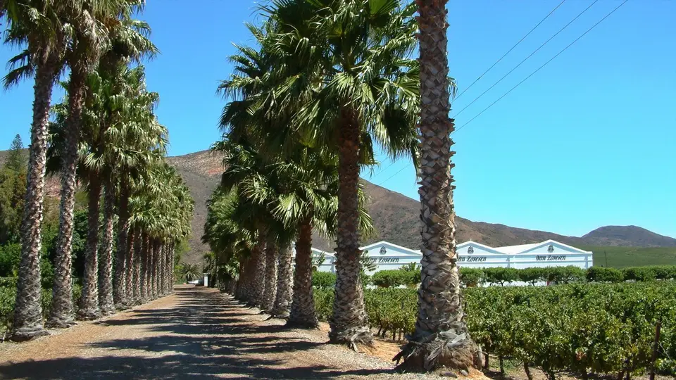Südafrika696.jpg