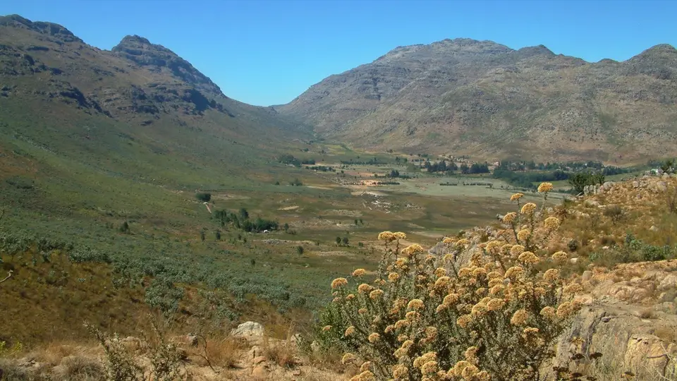 Südafrika763.jpg