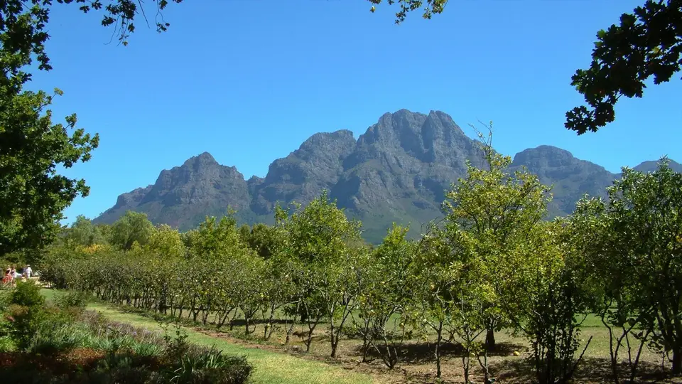 Südafrika811.jpg