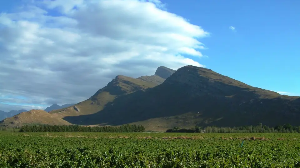 Südafrika821.jpg