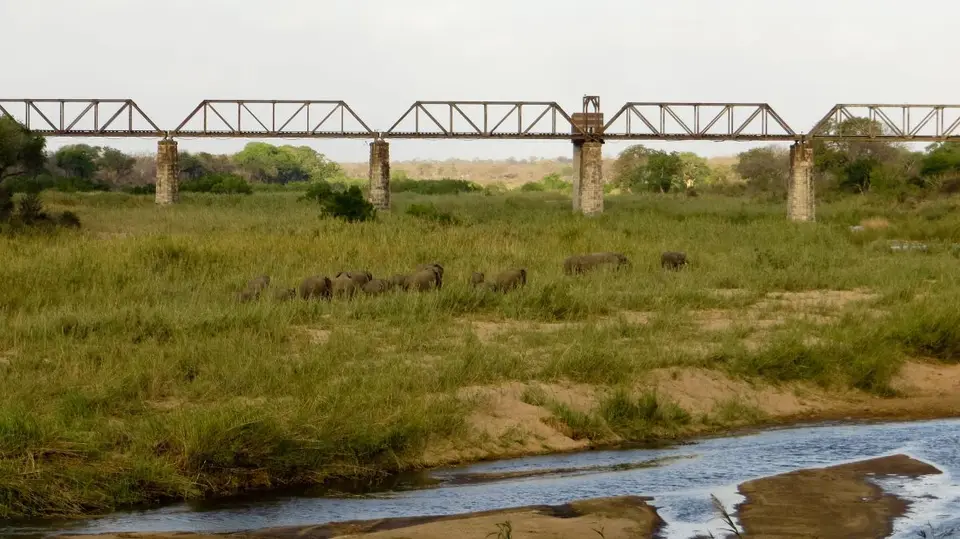 h2542349.jpg